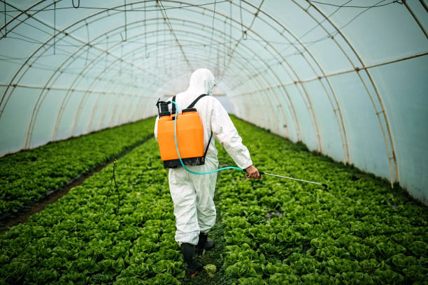 Best Pest Removal Services  in Westfield, IN