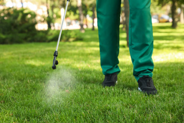 Flea Control Services in Westfield, IN