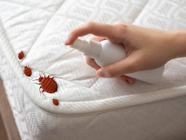 Best Residential Pest Control  in Westfield, IN
